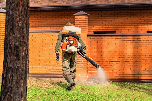 Trusted Cockroach Control service in Cape Neddick, ME - Nex Pest Control